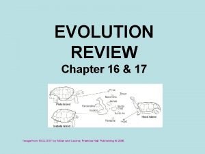 Divergent evolution vs adaptive radiation