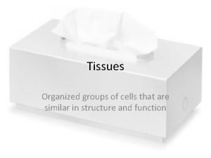 Tissues Organized groups of cells that are similar