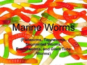 Marine Worms Flatworms Tapeworms Segmented Worms Roundworms and