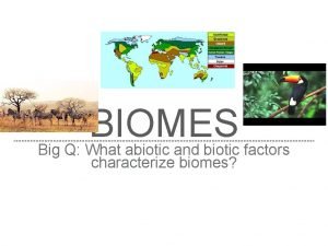 What's biotic and abiotic