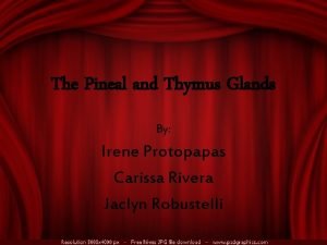 The Pineal and Thymus Glands By Irene Protopapas