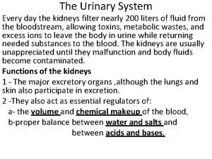 The Urinary System Every day the kidneys filter