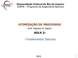 Universidade Federal do Rio de Janeiro COPPE Programa