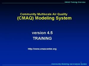 CMAQ Training Overview Community Multiscale Air Quality CMAQ