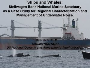 Ships and Whales Stellwagen Bank National Marine Sanctuary