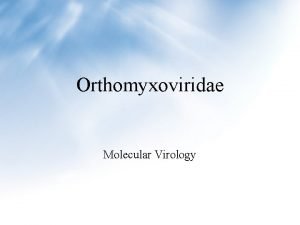 Orthomyxoviridae Molecular Virology Orthomyxoviridae Myxo means mucus Myxovirus