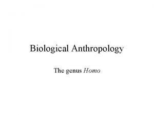 Biological Anthropology The genus Homo Homo habilis Larger