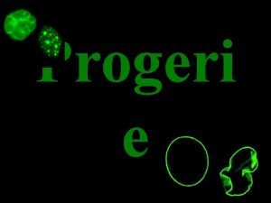 Progeri