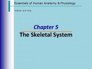 Essentials of Human Anatomy Physiology Marieb and Hole