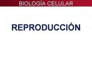 BIOLOGA CELULAR REPRODUCCIN PROPSITO Determinar la importancia de