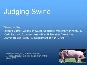 Judging Swine Developed by Richard Coffey Extension Swine