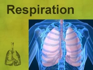 Respiration Click to edit Master subtitle style Respiration