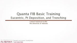 Quanta FIB Basic Training Eucentric Pt Deposition and