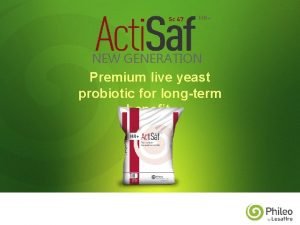 Actisaf live yeast