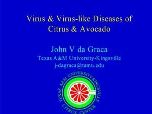 Virus Viruslike Graft transmissible Some vectored insect mite