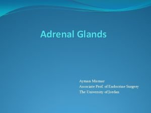 Adrenal Glands Ayman Mismar Associate Prof of Endocrine