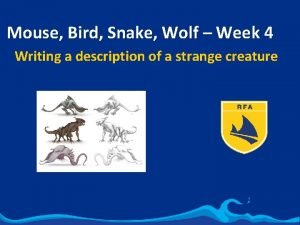 Mouse bird snake wolf planning