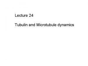 Tubulin ring complex