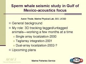 Sperm whale seismic study in Gulf of Mexicoacoustics