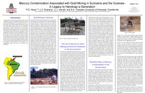 Mercury Contamination Associated with Gold Mining in Suriname