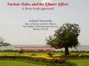 Nuclear Halos and the Efimov Effect A threebody
