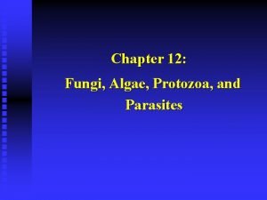 Chapter 12 Fungi Algae Protozoa and Parasites I