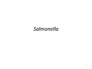 Salmonella 1 2 Characteristics of Salmonella enterica Named