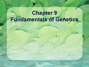 Chapter 9 Fundamentals of Genetics What is Genetics