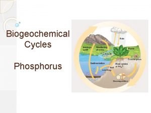 Biogeochemical Cycles Phosphorus Biogeochemical Cycles The great cycles