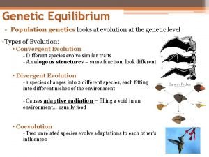 Genetic equilibrium