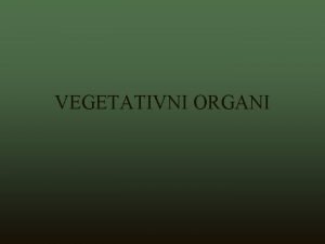 Vegetativni organi