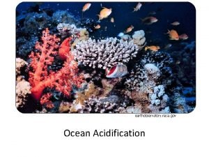 Ocean acidification