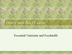 Dairy and Beef Cattle Essential Nutrients and Feedstuffs