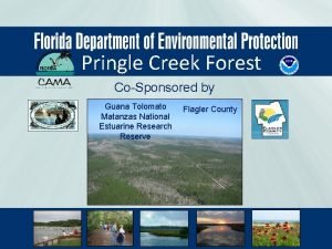 Pringle Creek Forest CoSponsored by Guana Tolomato Matanzas