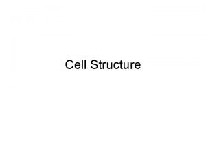 Eukaryotic cell organisation