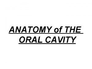 ANATOMY of THE ORAL CAVITY INTRODUCTION The oral
