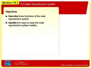 Pathway of sperm in male reproductive system