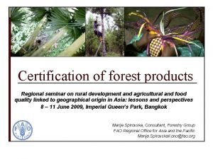 Certification of forest products Regional seminar on rural