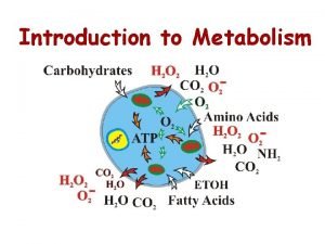 Metabolism is the sum of