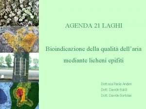 Agenda 21 laghi