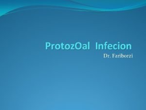 Protoz Oal Infecion Dr Fariborzi Visceral leishmaniasis The