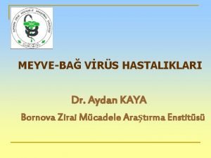 MEYVEBA VRS HASTALIKLARI Dr Aydan KAYA Bornova Zirai