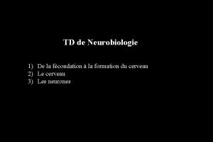 TD de Neurobiologie 1 De la fcondation la