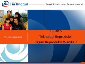 Kuliah 5 Teknologi Reproduksi Organ Reproduksi Wanita 2