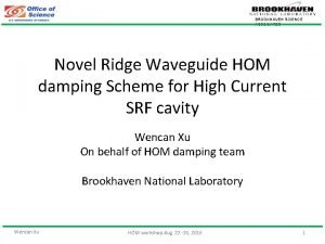 BROOKHAVEN SCIENCE ASSOCIATES Novel Ridge Waveguide HOM damping