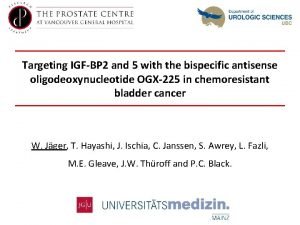 Targeting IGFBP 2 and 5 with the bispecific