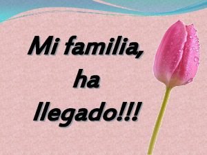 Mi familia ha llegado