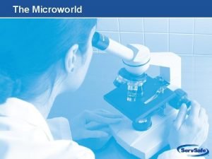 The Microworld 2 1 Apply Your Knowledge Test