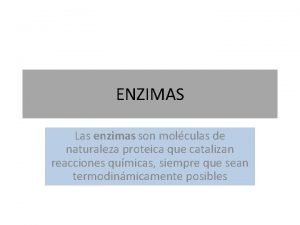 ENZIMAS Las enzimas son molculas de naturaleza proteica