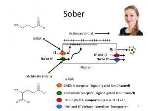 Sober Action potential GABA Cl K and Cl